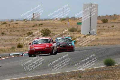 media/May-03-2025-Lucky Dog Racing (Sat) [[206de64b9d]]/Turn 6 (150pm-230pm)/